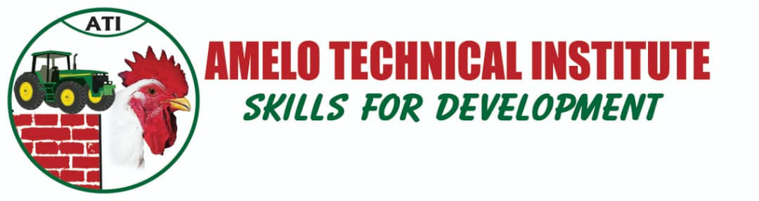 Amelo Technical Institute